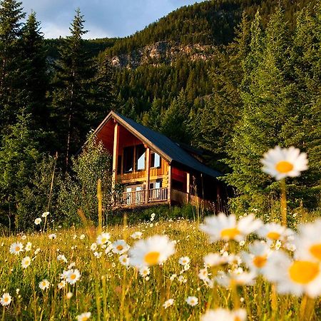 Mount 7 Lodges Golden Kültér fotó