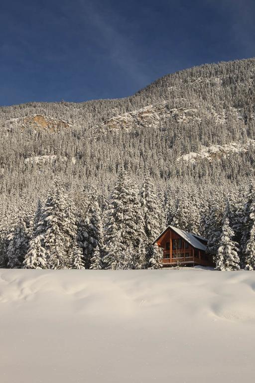 Mount 7 Lodges Golden Kültér fotó