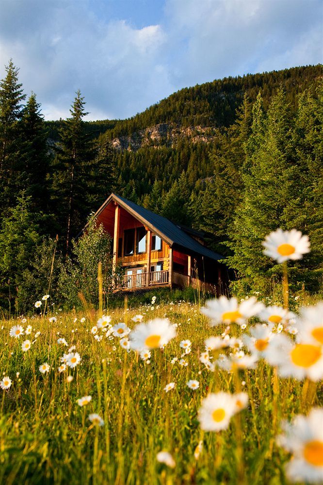 Mount 7 Lodges Golden Kültér fotó